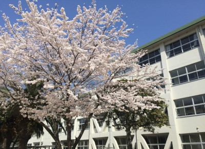 ホーム１