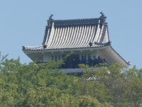 遠足波方４
