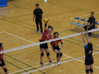 女バレ６