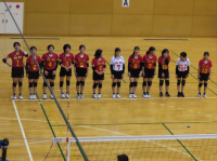 女バレ９