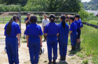 １年馬１