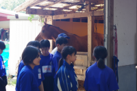 １年馬２