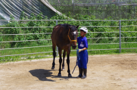 １年馬５
