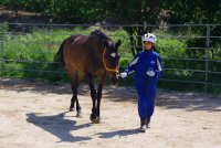 １年馬６