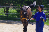 １年馬７