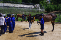 １年馬８