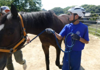 １年馬@2１