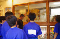 お供馬１太鼓４