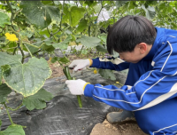 職場体験０４
