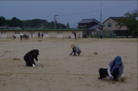 奉仕活動２