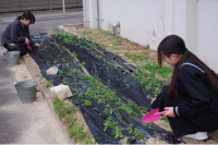 文化クリエイト１