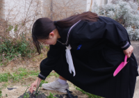 文化クリエイト２