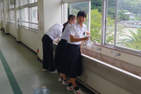 掃除７
