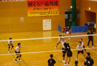 新人６
